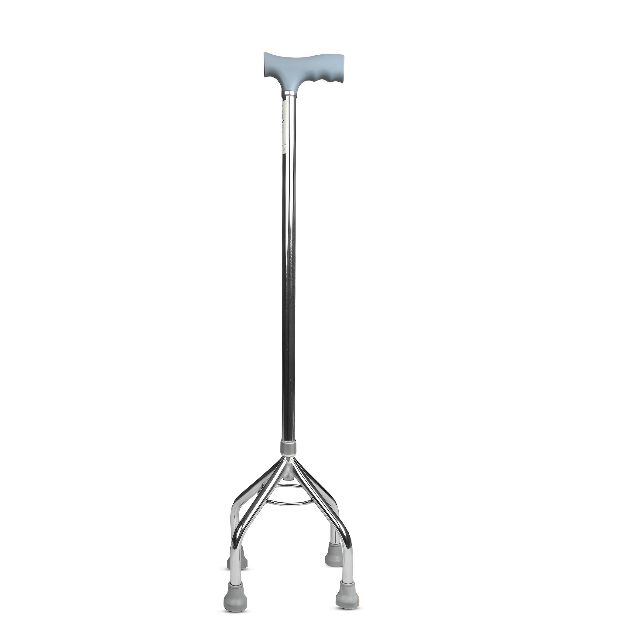 Walking Stick